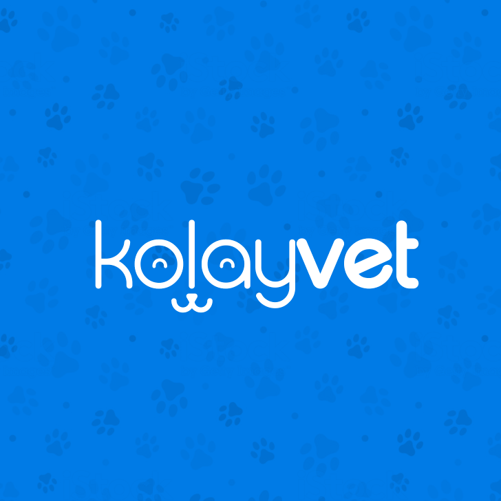 Kolayvet<br>Veteriner Yazılımı Denizli